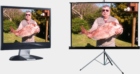 monitor matching